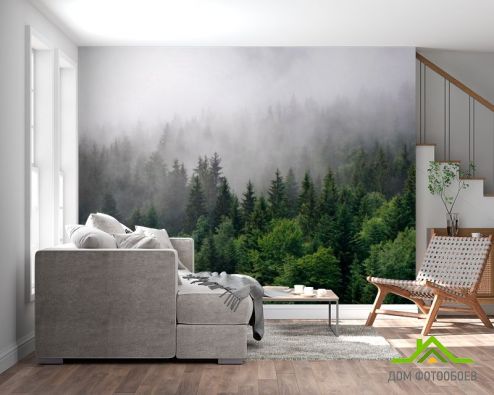 выбрать Фотообои Лес в тумане Фотообои Фотообои Природа: горизонталная, горизонтальная, зелений, зеленый ориентация на стену