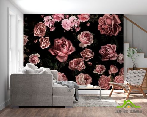 выбрать Фотообои Розы Фотообои Фотообои Цветы: картинка, черный  на стену