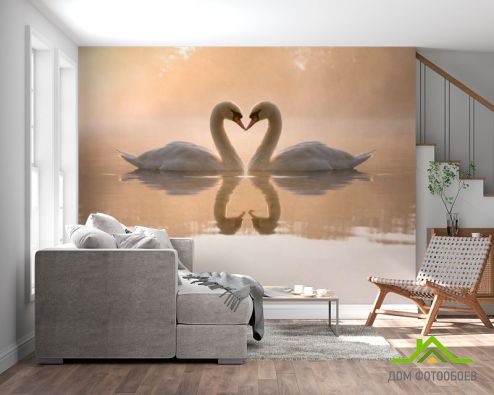 выбрать Фотообои Пара лебедей Фотообои Фотообои Птицы : горизонталная, горизонтальная ориентация на стену