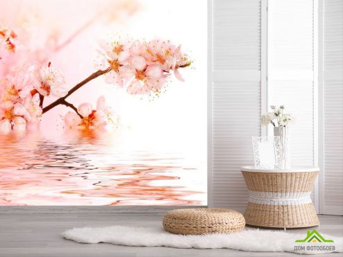 выбрать Фотообои Побеги вишни в воде Фотообои Фотообои Цветы: квадратная, фото ориентация на стену