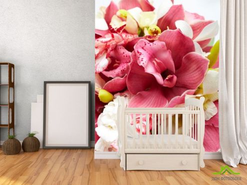 выбрать Фотообои Орхидеи бардовые и белые Розовые фотообои на стену