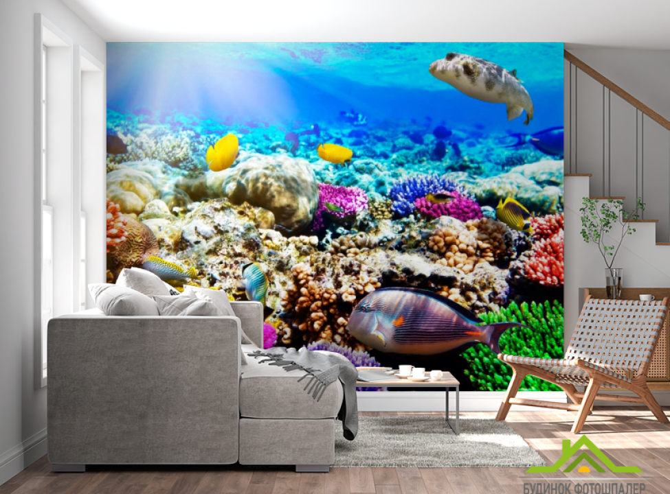 выбрать Фотообои Подводный мир Фотообои Море на стену
