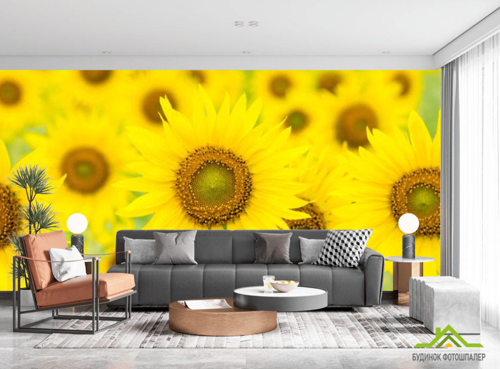 выбрать Фотообои крупные подсолнухи Каталог фотообоев на стену
