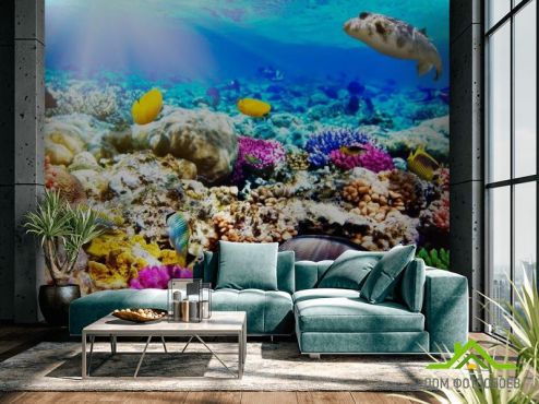 выбрать Фотошпалери Підводний світ Фотошпалери Риби і море на стіну