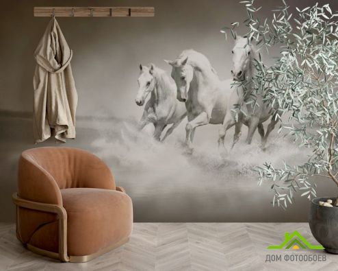 выбрать Фотообои Белые кони Фотообои Фотообои Животные: горизонталная, горизонтальная, фото ориентация на стену