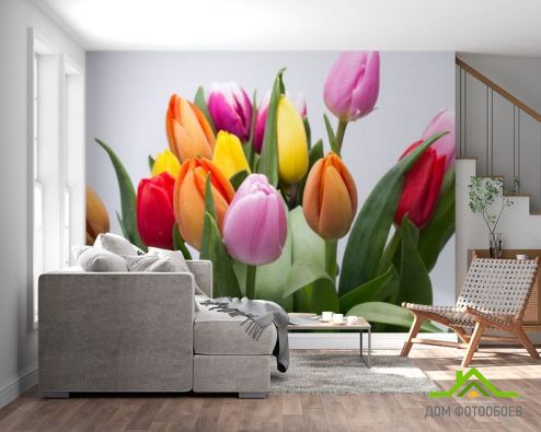 выбрать Фотошпалери тюльпани різних кольорів Фотошпалери Квіти на стіну