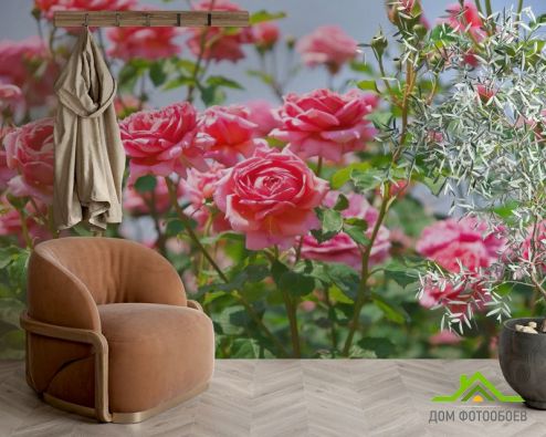 выбрать Фотообои кустарники роз Фотообои Цветы на стену