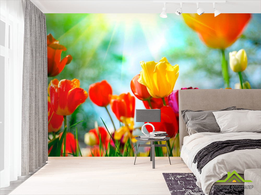 Фотошпалери Різнокольорові тюльпани