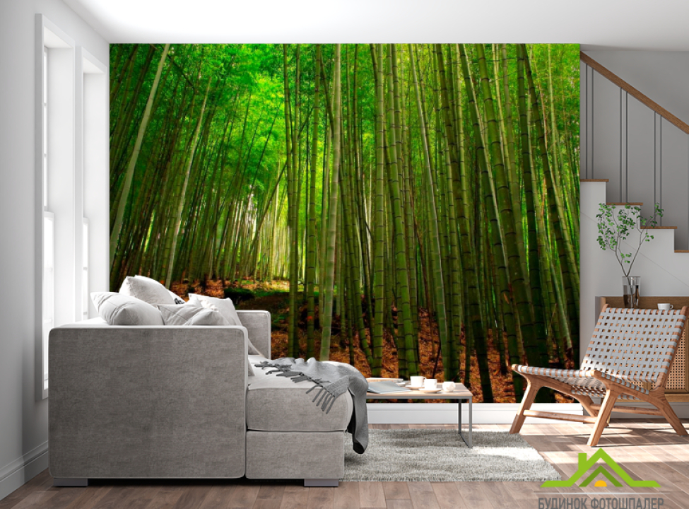 выбрать Фотошпалери Бамбук, стежка Каталог фотошпалер на стіну