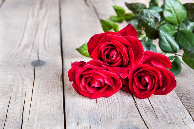 Фотошпалери три червоні троянди на дерев'яному тлі