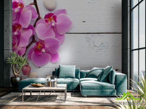 выбрать Фотообои сиреневая орхидея на белом деревянном фоне Фотообои Орхидеи на стену