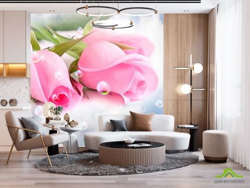 выбрать Фотообои Бледно-розовые розы Фотообои Фотообои Розы: фото  на стену
