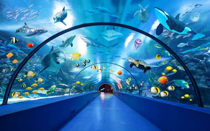 Фотообои большой аквариум