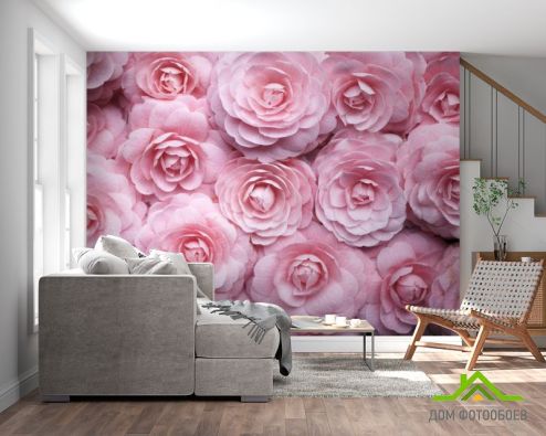 выбрать Фотообои широкие розы Фотообои Розы на стену