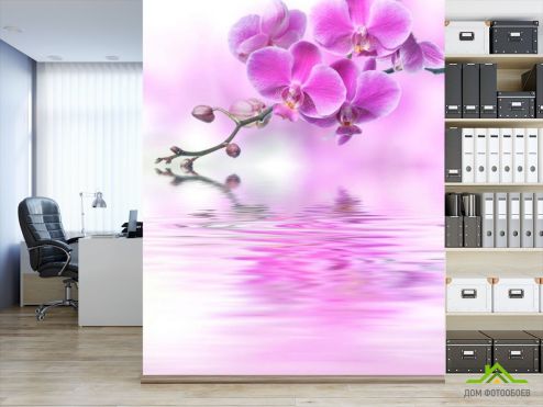 выбрать Фотошпалери рожева орхідея над водою Фотошпалери, колір: «вертикальна» на стіну