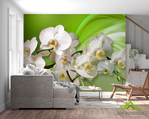 выбрать Фотообои 3д орхидеи Фотообои Фотообои Цветы: горизонталная, горизонтальная, картинка ориентация на стену