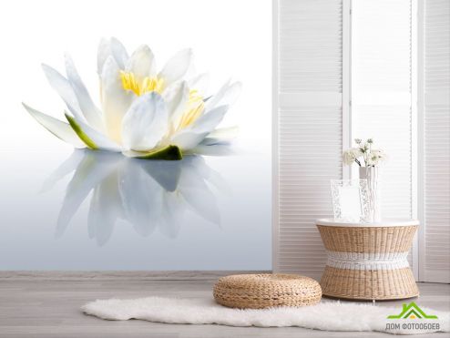 выбрать Фотообои водяная лилия Фотообои Цветы на стену