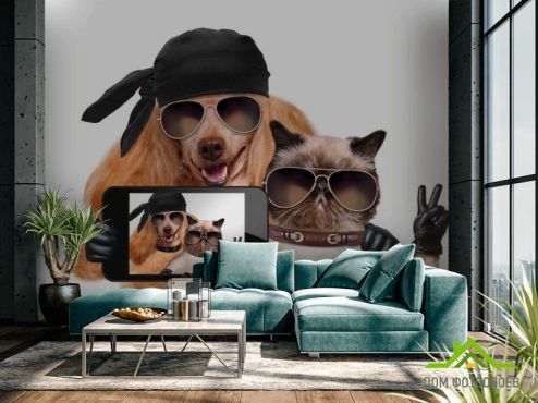 выбрать Фотошпалери кіт з собакою роблять селфи Фотошпалери Тварини на стіну