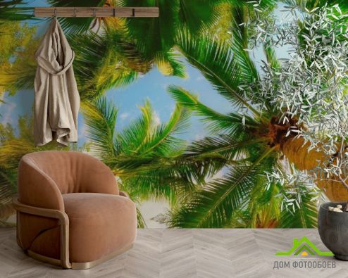 выбрать Фотообои Высокие пальмы Фотообои Фотообои Море: фото, горизонталная, горизонтальная  на стену