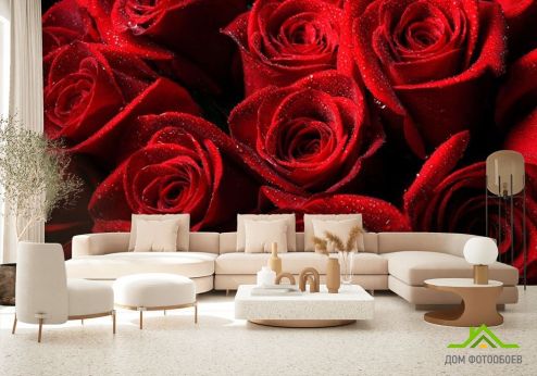 выбрать Фотошпалери Букет троянд червоного кольору Фотошпалери Фотошпалери Квіти: червоний на стіну