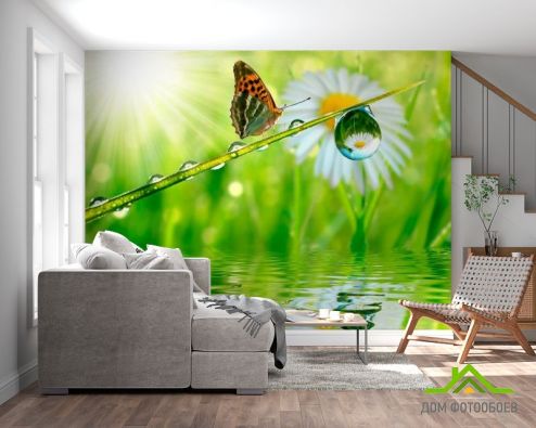 выбрать Фотообои Бабочка над водой Зеленые фотообои на стену