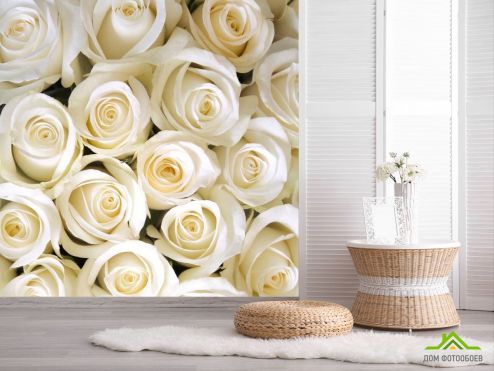 выбрать Фотообои Букет белоснежных роз Фотообои Розы на стену