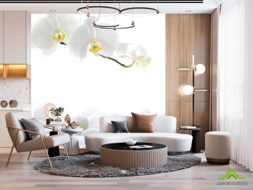 выбрать Фотообои Орхидеи белые Фотообои Фотообои Цветы: квадратная, фото ориентация на стену