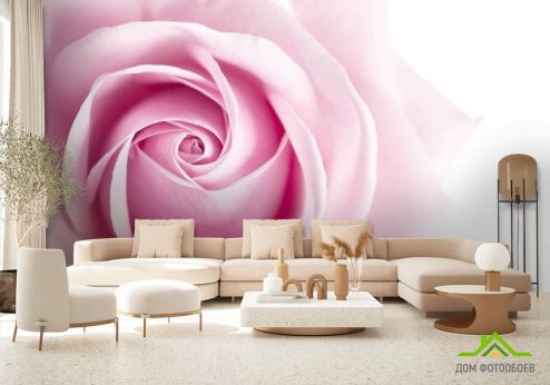 выбрать Фотошпалери Рожевий бутон троянди Фотошпалери Фотошпалери Квіти: квадратна, горизонтальна орієнтація на стіну