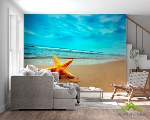 выбрать Фотообои Пляж, морская звезда Голубые фотообои на стену