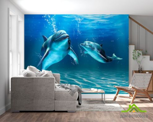 выбрать Фотообои Игры дельфинов Фотообои Дельфины на стену