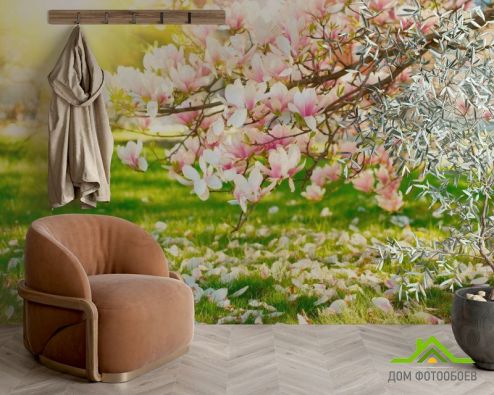 выбрать Фотообои Отцвели вишневые цветы Фотообои Фотообои Розовые деревья: фото  на стену