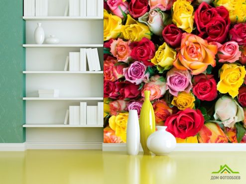 выбрать Фотошпалери Різнокольорові троянди Фотошпалери Квіти на стіну
