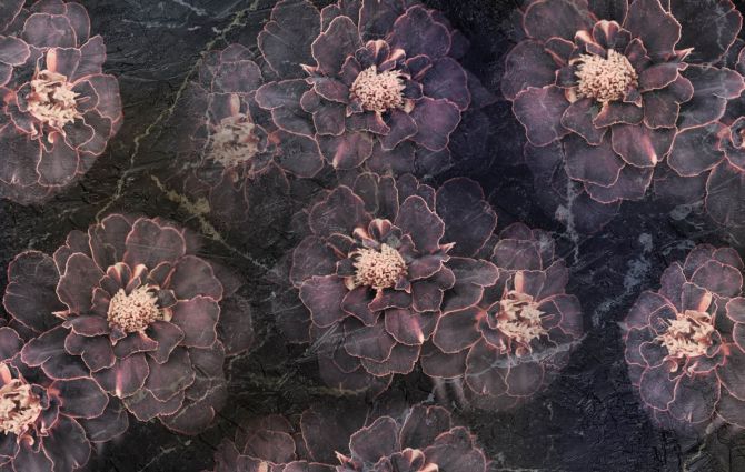 Фотообои Тёмные цветы