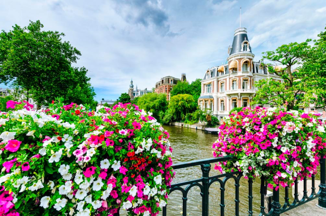 Фотошпалери Квіти на містку, Амстердам