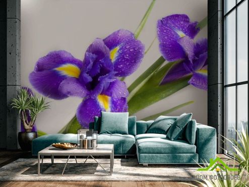 выбрать Фотообои синий цветок  на стену