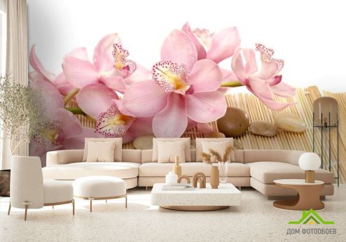выбрать Фотообои Орхидея Фотообои Фотообои Орхидеи: фото, розовый  на стену