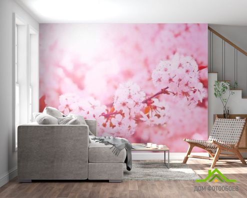 выбрать Фотообои Розовый вишневый цвет Фотообои Вишня на стену