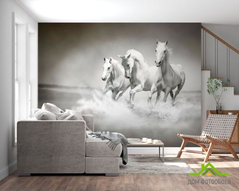 выбрать Фотообои Белые кони Фотообои Животные на стену