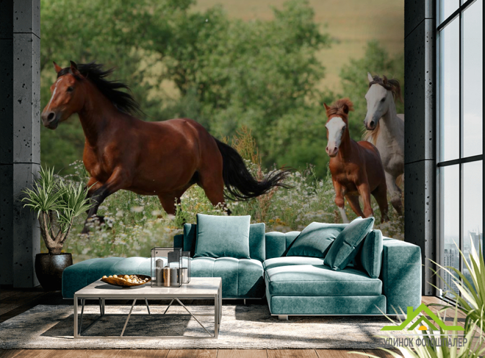 выбрать Фотошпалери Коні на лузі Каталог фотошпалер на стіну