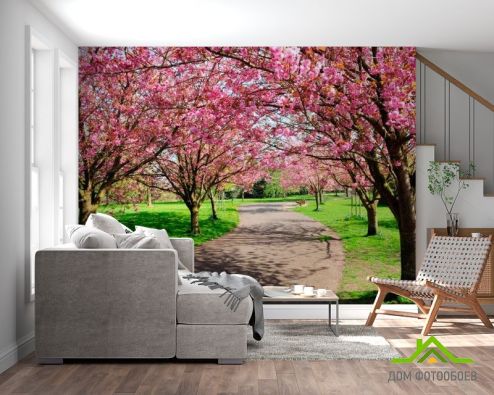 выбрать Фотообои Цветущие вишни Фотообои Фотообои Природа: горизонталная, горизонтальная, фото ориентация на стену