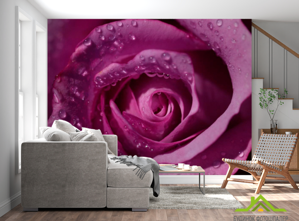 выбрать Фотообои Роза Каталог фотообоев на стену