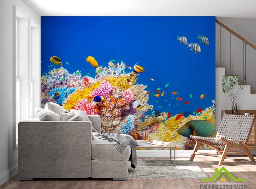 выбрать Фотообои Кораллы и рыбы Фотообои Море на стену