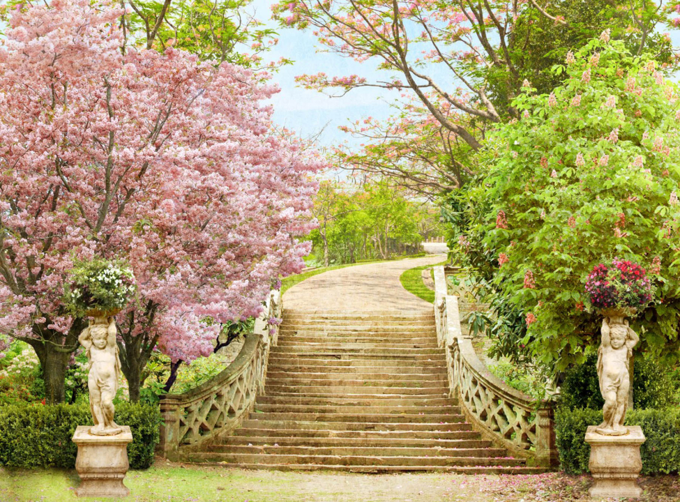 выбрать Фотообои Фреска Каталог фотообоев на стену