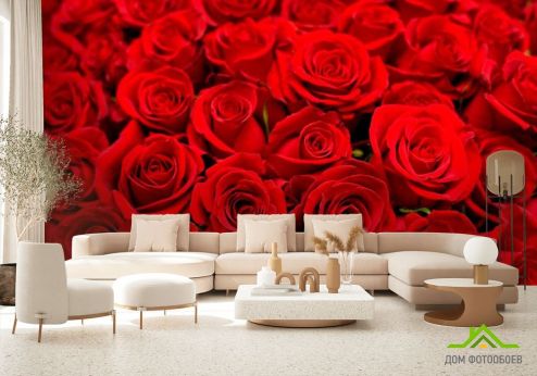 выбрать Фотообои Букет алых роз Фотообои Фотообои Цветы: фото, красный  на стену