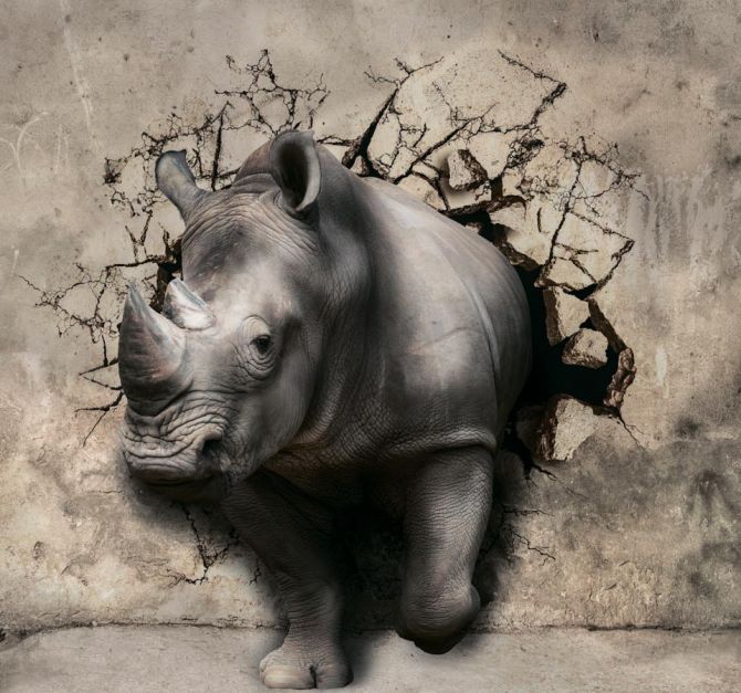 3д фотообои Носорог