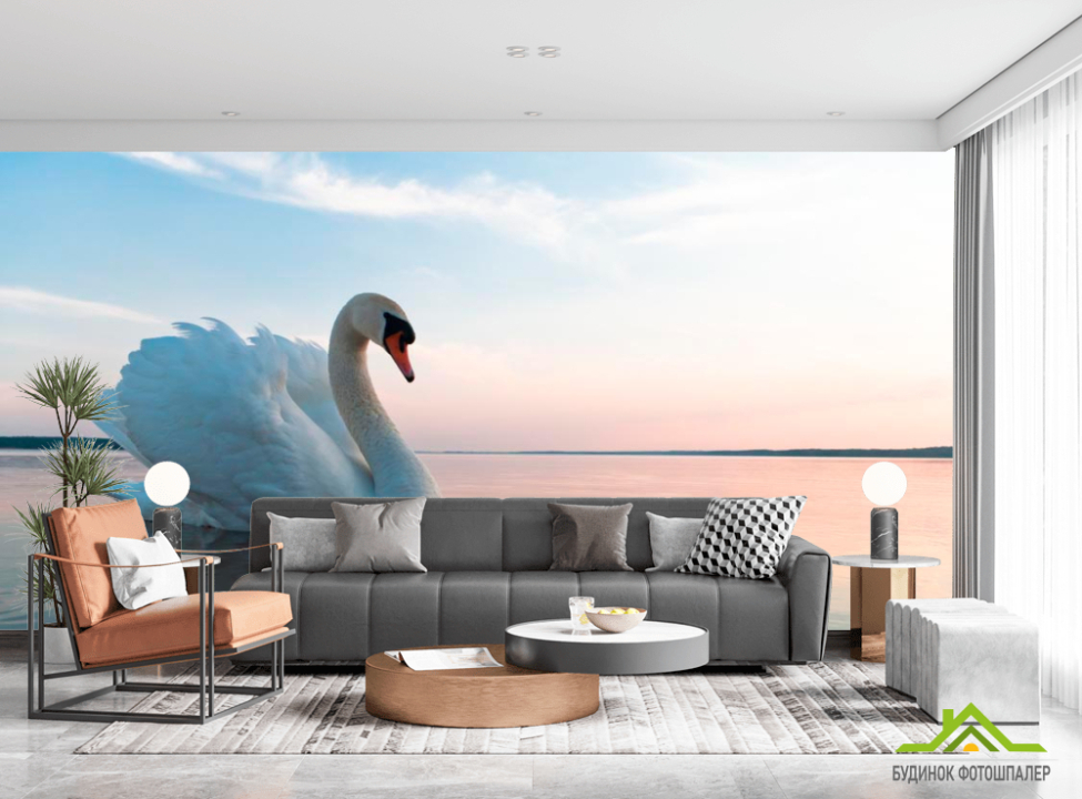выбрать Фотообои Лебедь на пруду Каталог фотообоев на стену