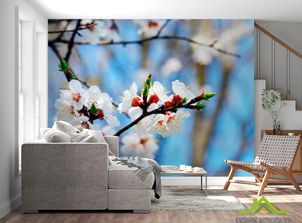 выбрать Фотошпалери Маленькі вишневі квіточки Каталог фотошпалер на стіну
