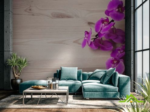 выбрать Фотообои фиолетовая орхидея на деревянном фоне  на стену