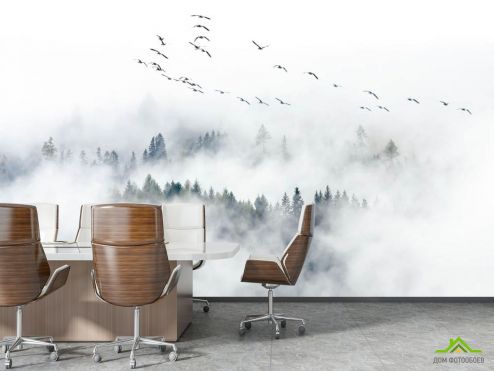 выбрать Фотообои Туманный лес с птицами Фотообои для офиса: горизонталная, горизонтальная ориентация на стену