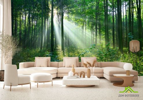 выбрать Фотообои зеленые деревья в лесу Фотообои, цвет: «горизонталная, горизонтальная» на стену
